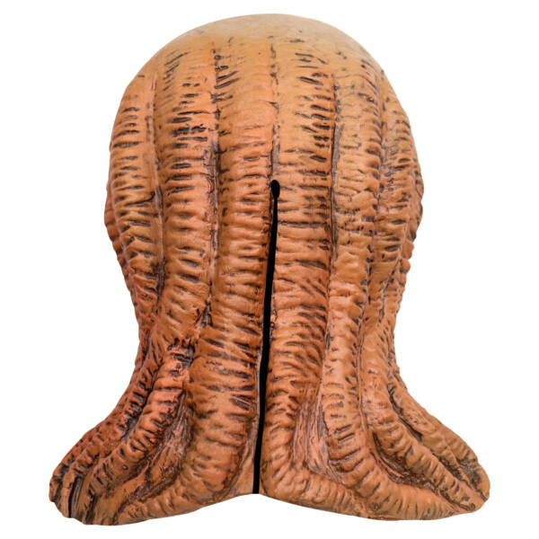 Strange Things 4 - Vecna's Latex Mask - 图片 9
